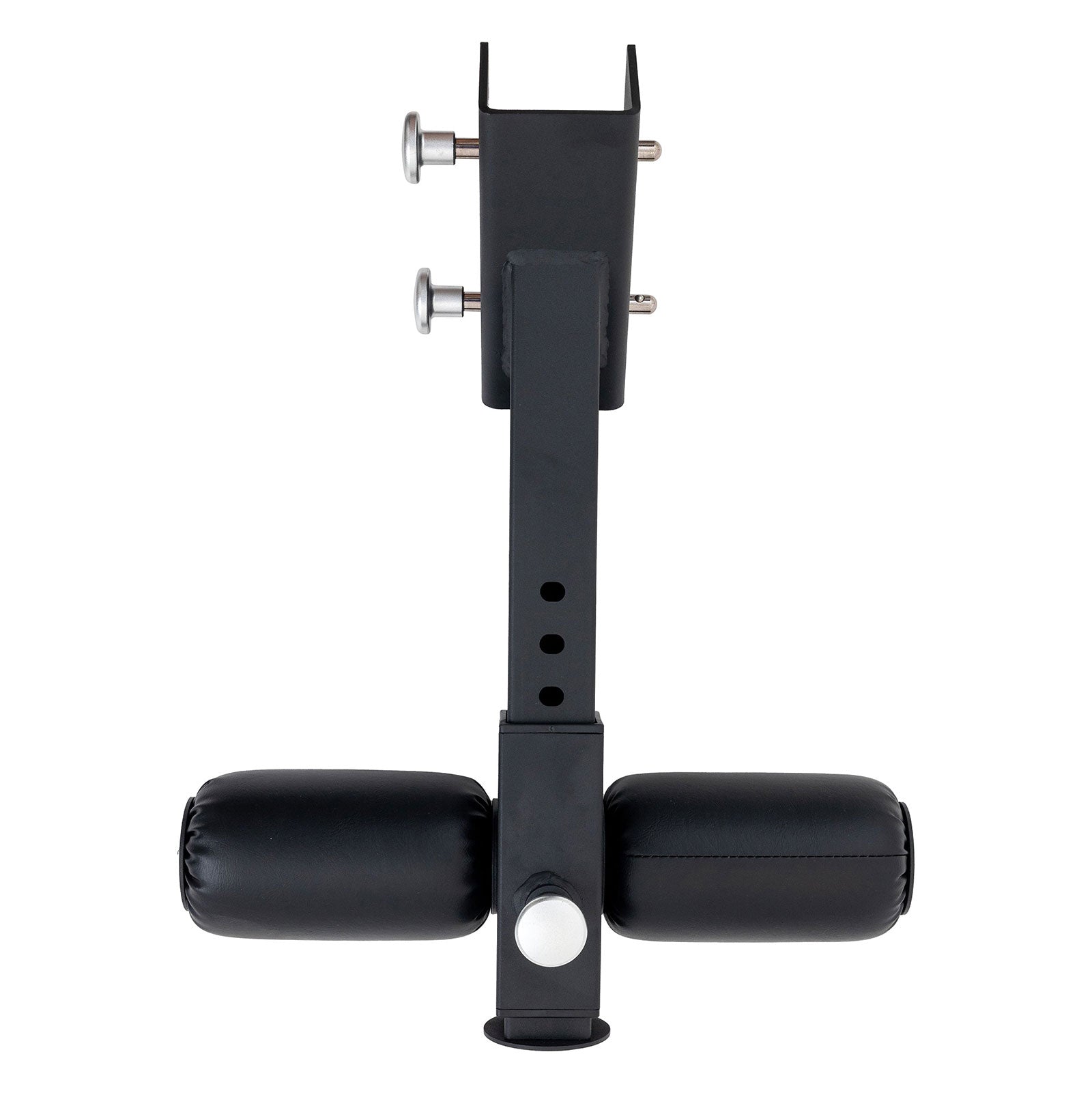 Bison Series - Nordic Curl Attachment