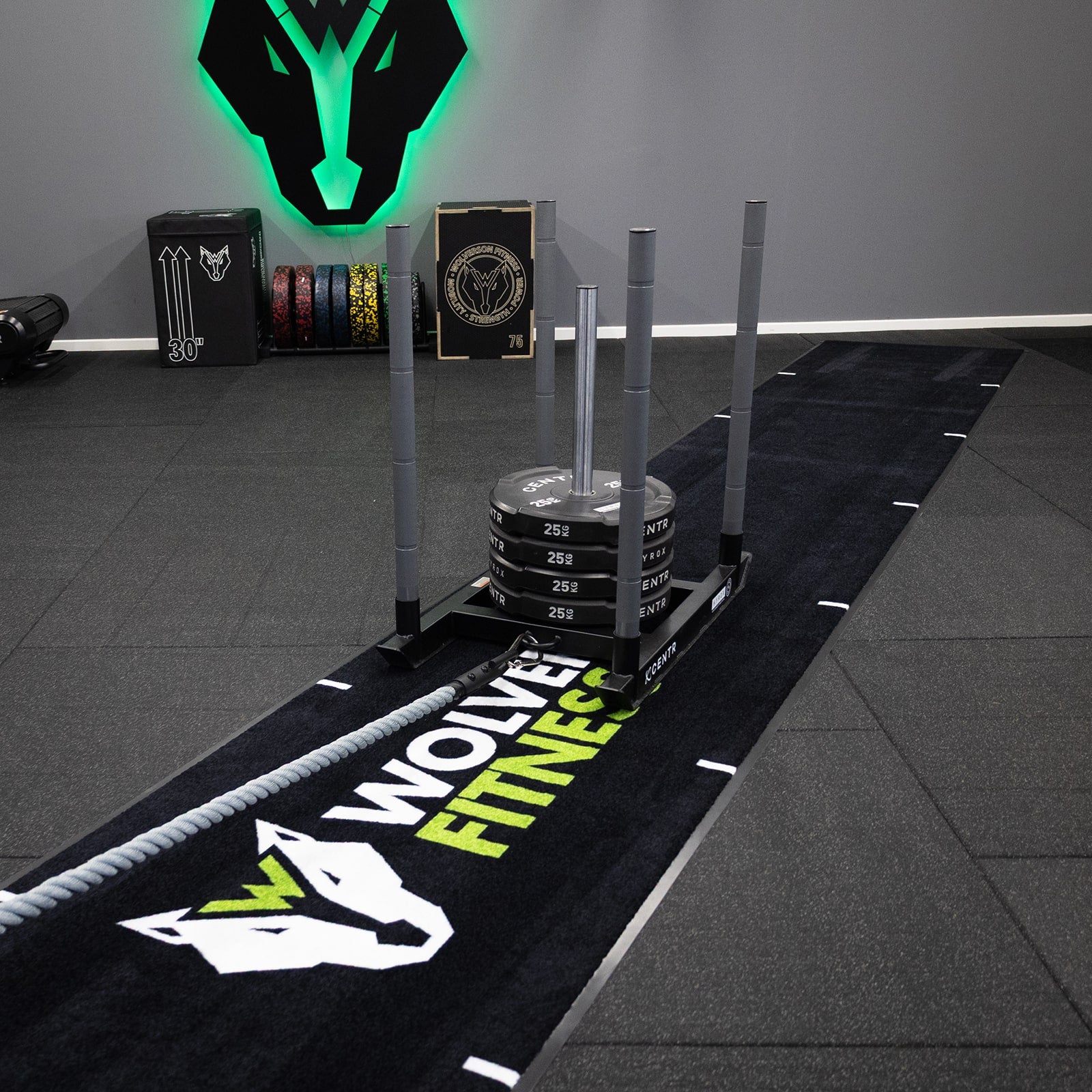 Wolverson Rollable Sled Track