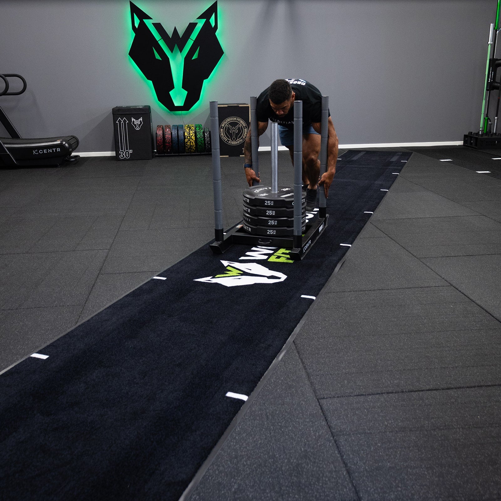 Wolverson Rollable Sled Track