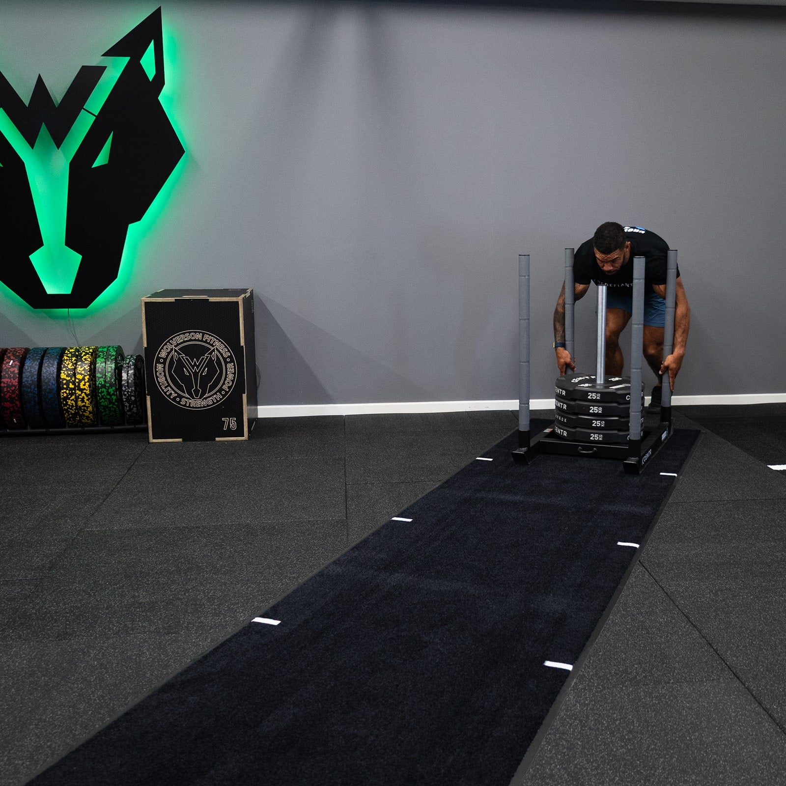 Wolverson Rollable Sled Track