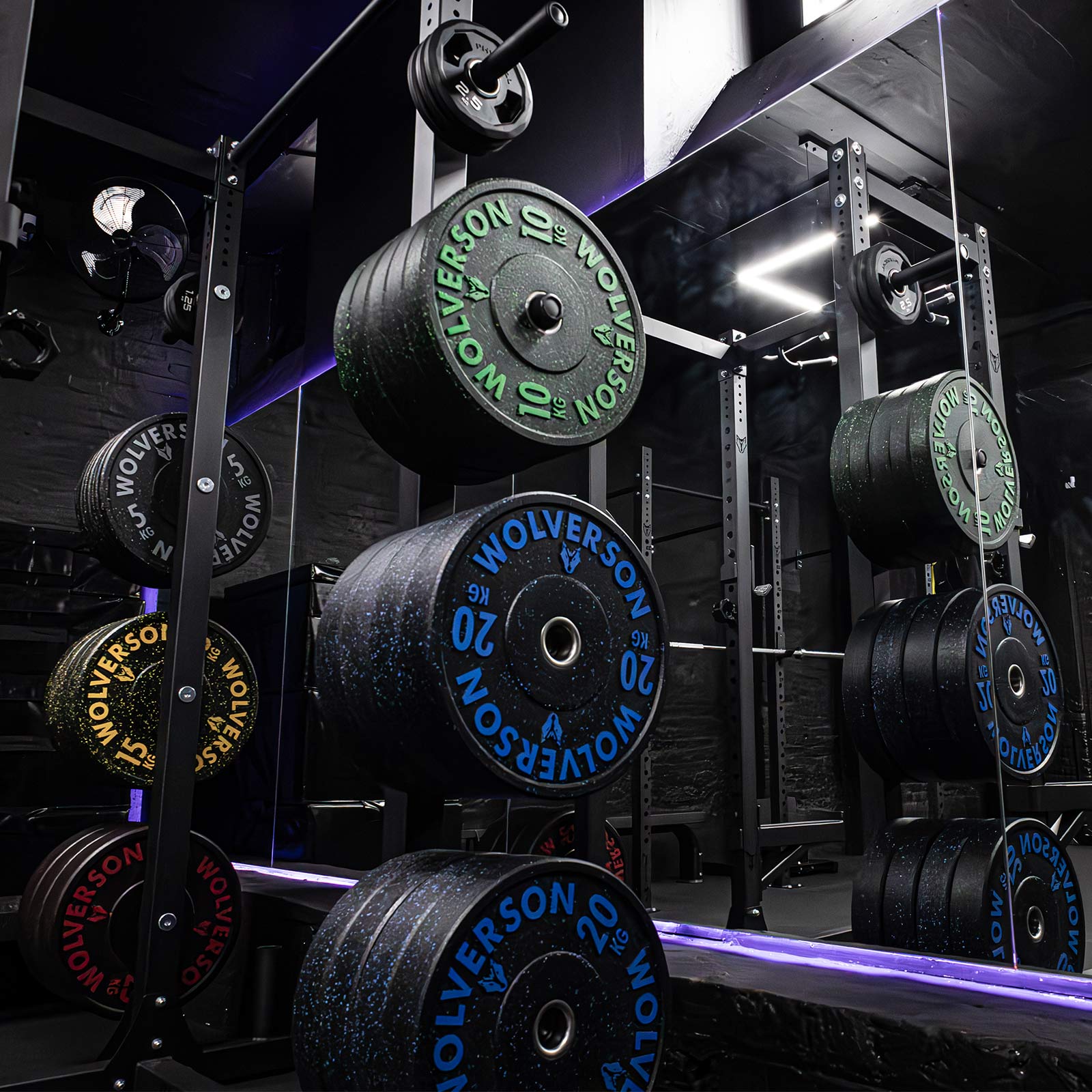 Wolverson Foundation Bumper Plates