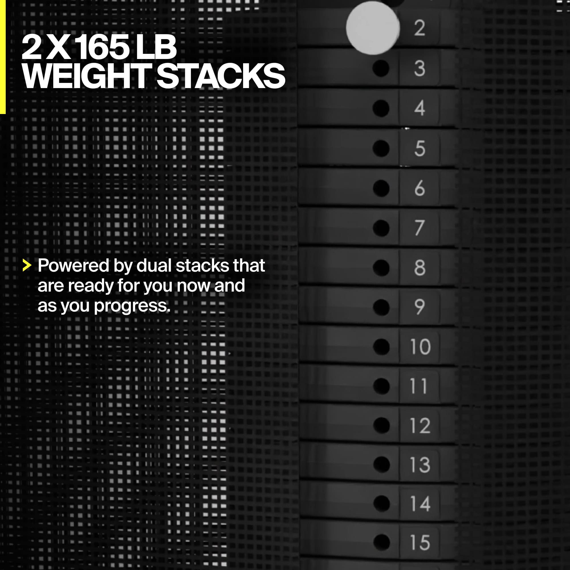Centr SF6 Bundle (Adjustable Bench + Leg Extension/Curl + Preacher Curl Attachment) PRE-ORDER