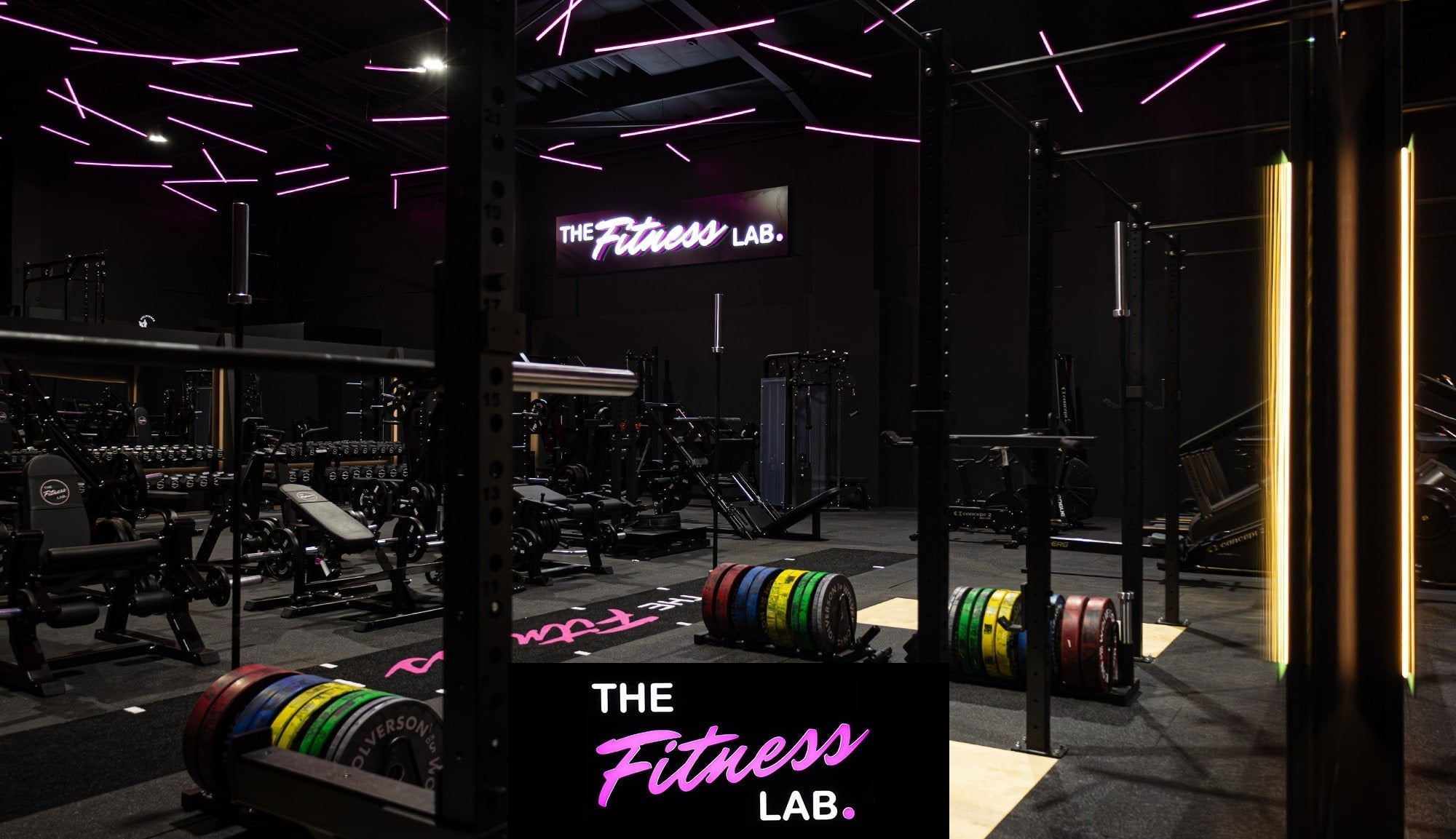 The Fitness Lab