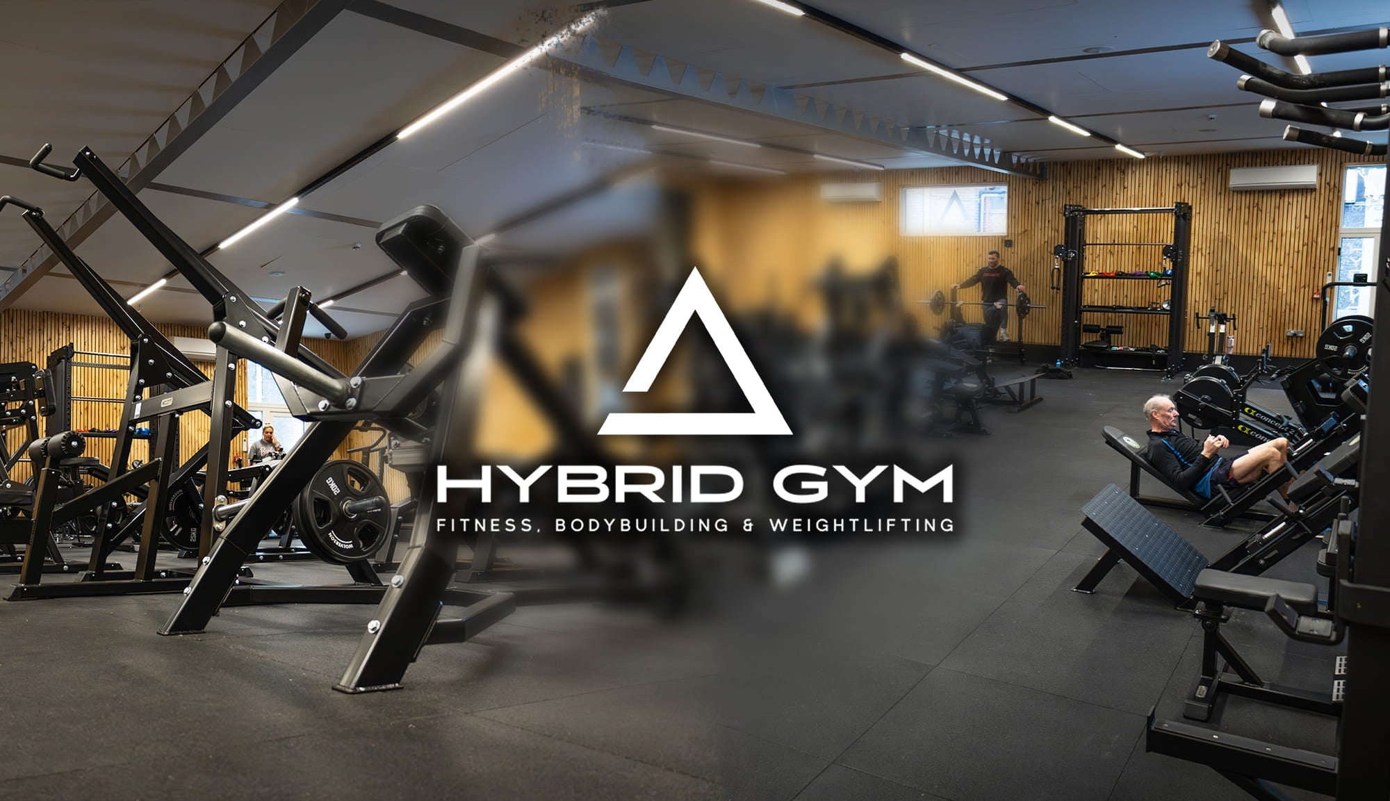 The Hybrid Gym