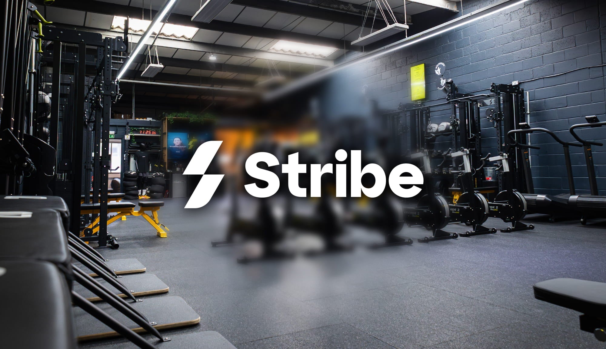 STRIBE