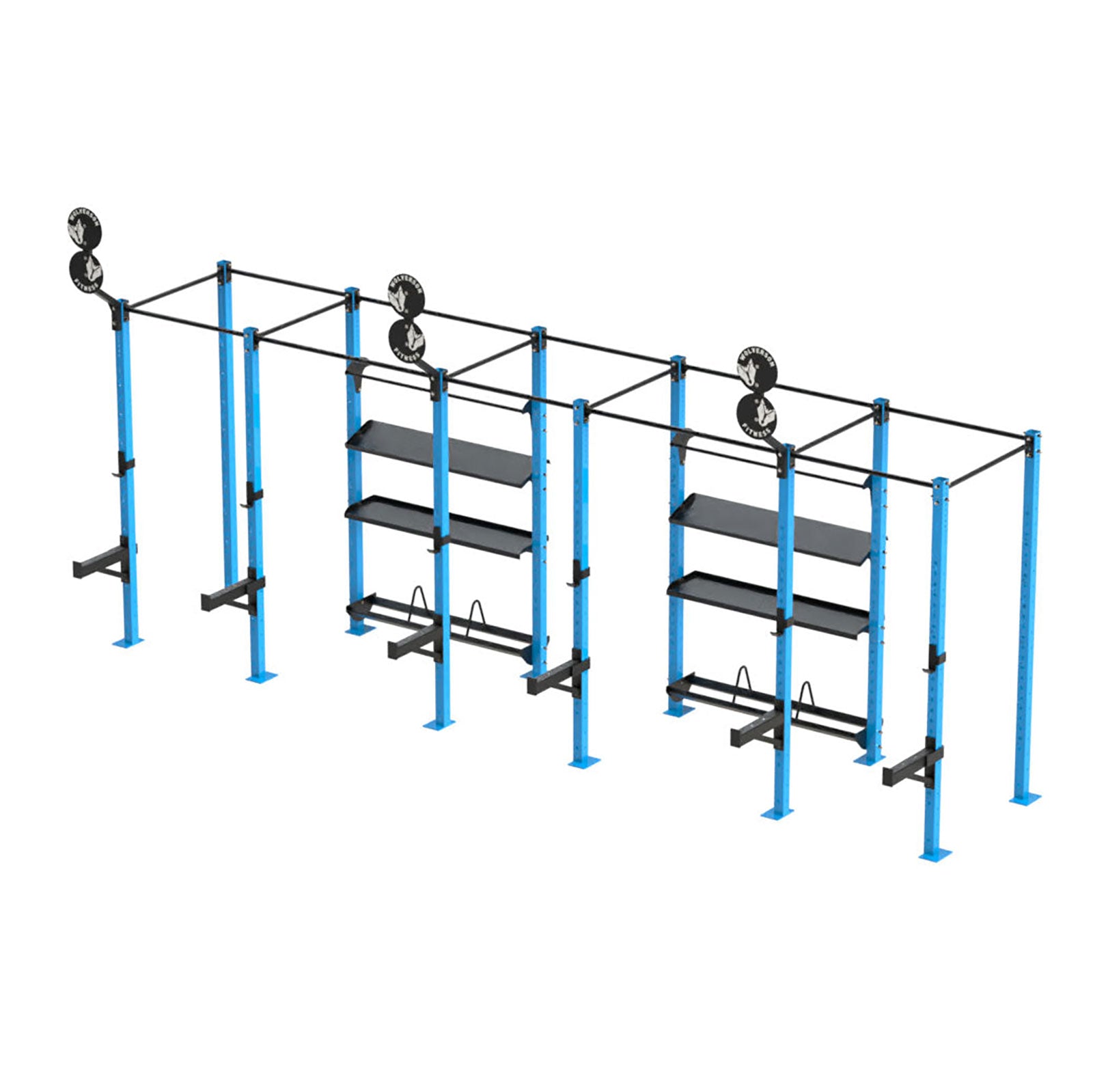 Xfit Rig Bison Series - Custom Rig Design | Personalised CrossFit Rig