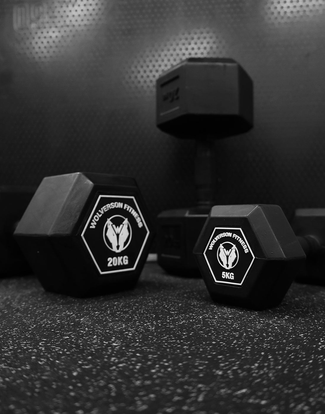 Wolverson fitness rubber online hex dumbbell