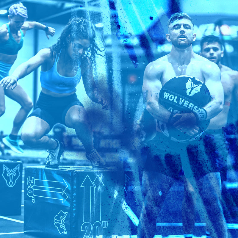 Wolverson Fitness | Award Winning Gym Equipment | Free Delivery