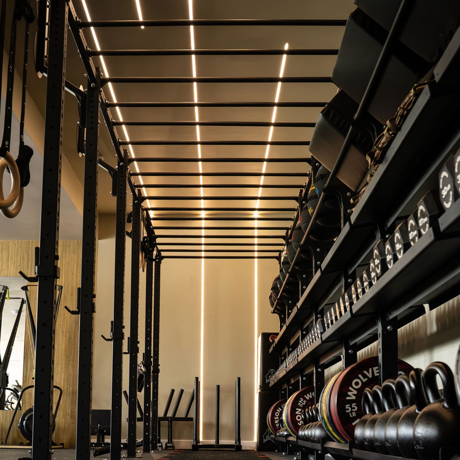 Bison Series - Monkey Bar