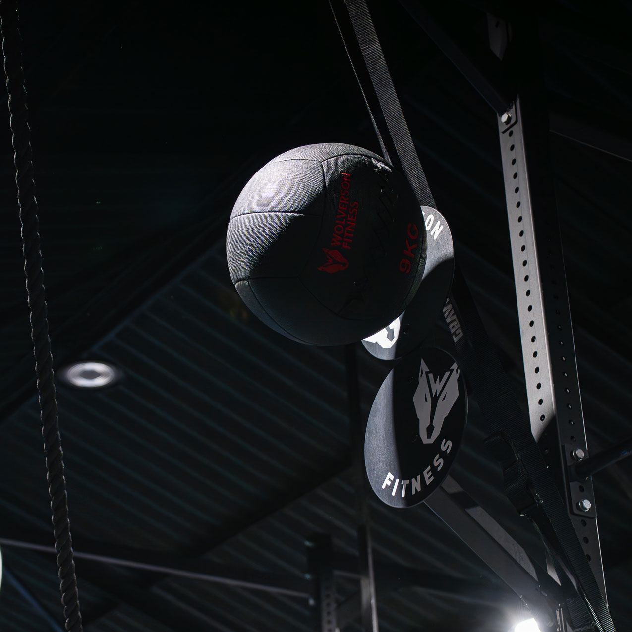 Bison Series - Dual Wall Ball Target